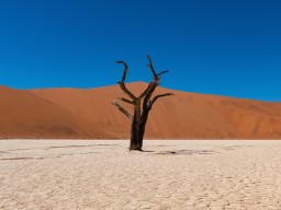 Namibia 2018