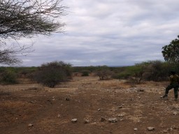 tsavo_008