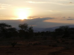 tsavo_067