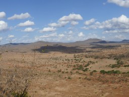 tsavo_079