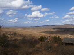 tsavo_099