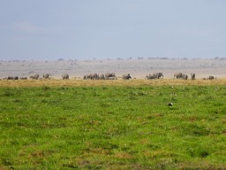 Kenya 2016