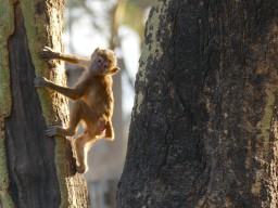 Kenya 2016