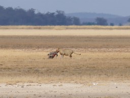 Kenya 2016