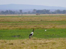 Kenya 2016