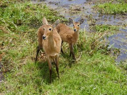 Kenya 2016