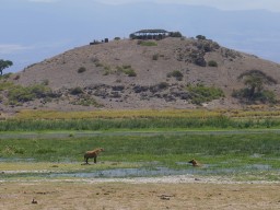 Kenya 2016