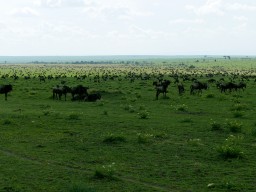 Kenya 2016