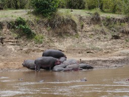 Kenya 2016