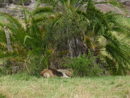 Kenya 2016