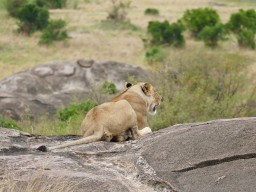 Kenya 2016