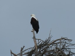 Kenya 2016