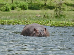 Kenya 2016