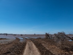 Lake Manyara