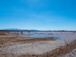 Lake Manyara