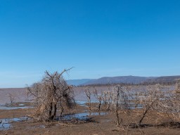 Lake Manyara