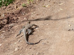 Lake Manyara