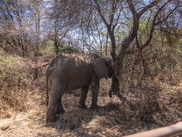 Lake Manyara