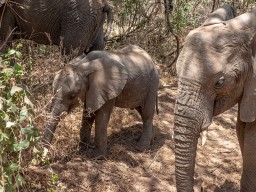 Lake Manyara