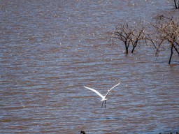 Lake Manyara