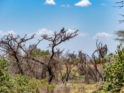 Lake Manyara