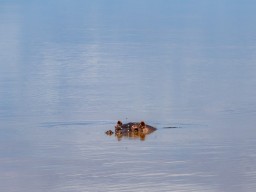 Lake Manyara