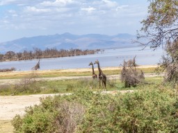 Lake Manyara