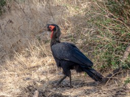 Lake Manyara