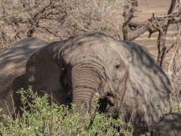 Lake Manyara