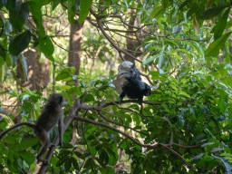 Lake Manyara