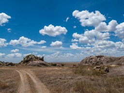 Serengeti